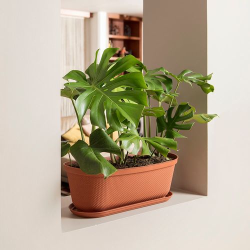 Matera moderna Ovalada Rafia 60 Cm con Plato