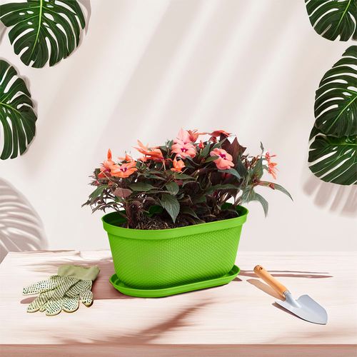 Matera Ovalada Rafia 40 Cm con Plato