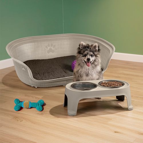 Combo Mascota (Comedero Alto para Perro Small + Cama)