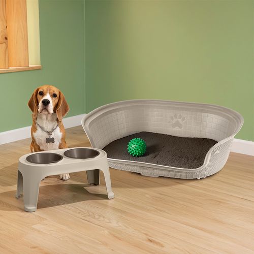 Combo Mascota (Comedero Alto para Perro Medium + Cama)