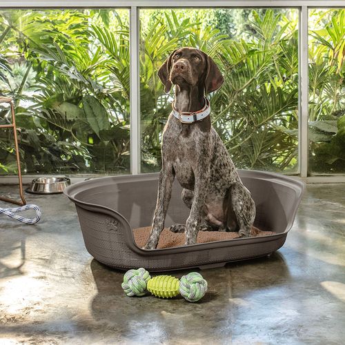 Cama para Perro