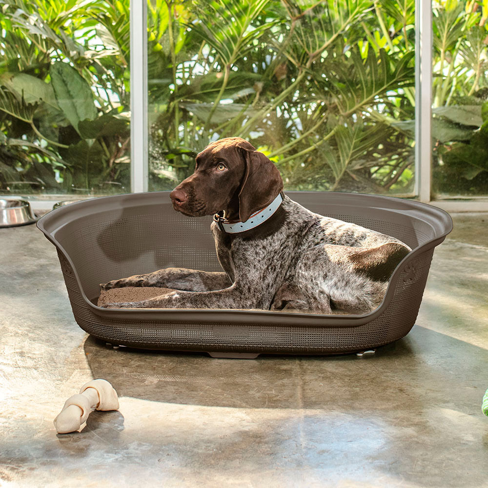 Mascotas Cunas Para Perritas Cunas Para Perros De Madera Cama