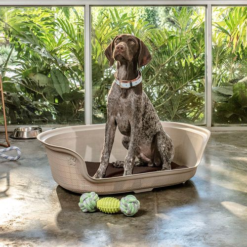 Cama para Perro