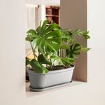 Combo Jardín (Mesa Rectangular Plegable + 2 Sillas Plegables + Materas Rafia 1 de 35 Cm + 1 de 40 Cm + 2 de 60 Cm)-1749579004779