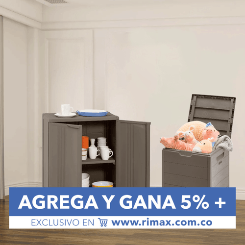 Combo Organizador Home (Armario Mediano Liviano Home + Baúl 100 Lt)