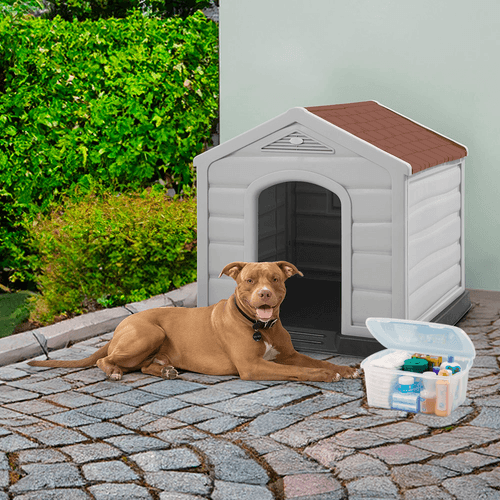 Combo Mascota (Casa Razas Medianas y Grandes +  Caja Multiusos 12 Lt)