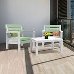 shutterstock_603578738_Combo-Sala-Baru-2-Sillas---Mesa-amb-verde-salvia-copia