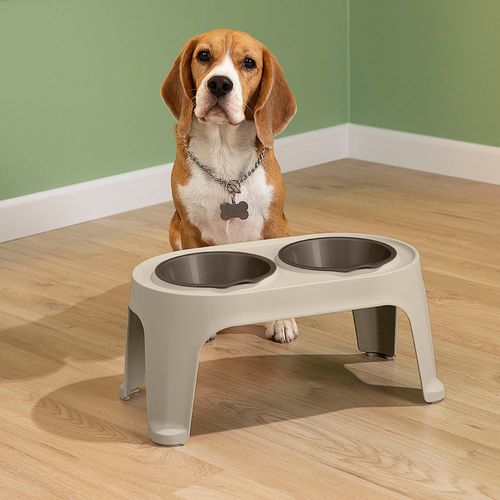 Comedero Alto para Perro Medium