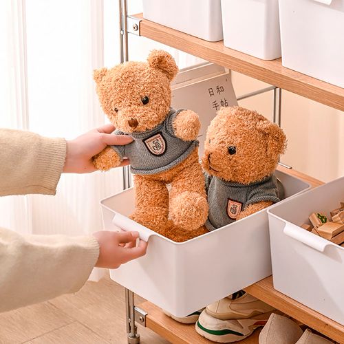 CAJA ORGANIZADORA CON ASA 5386ML