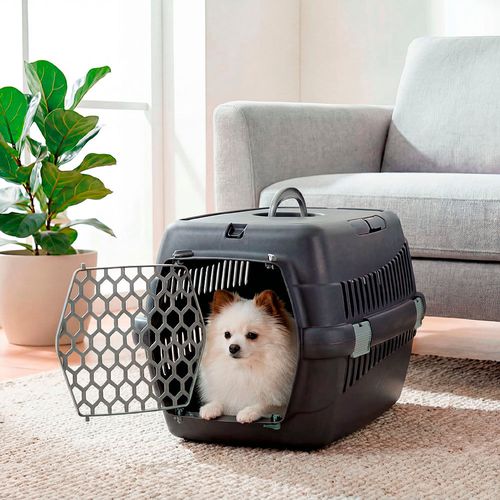 Guacal Para Perro Pequeño